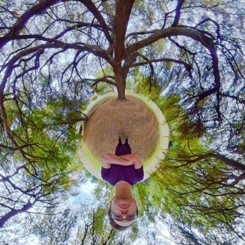 Grand Old Willow - Just a guy admiring a beautiful huge tree underneath its canopy.