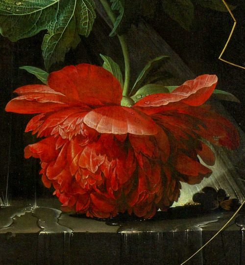 clara–lux:MIGNON, Abraham (1640–1679) Flower still life with cat etc., detailscirca 1670Oil on