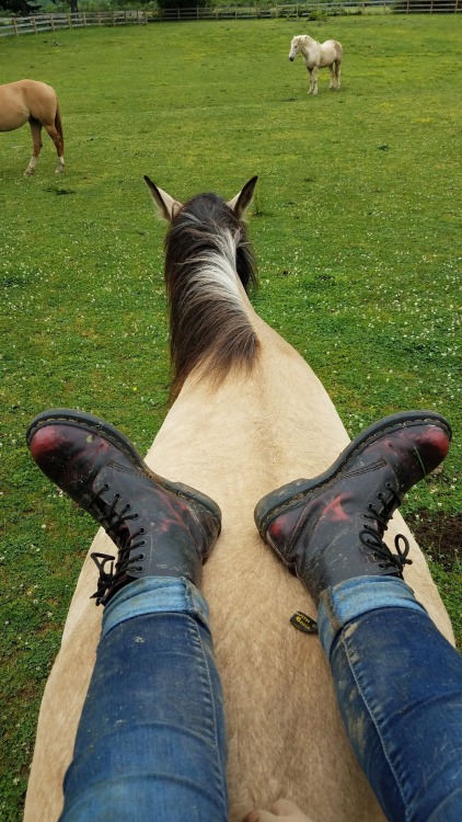 best footrest