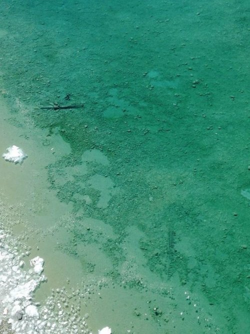 newsweek:Shipwrecks are now visible from beneath Lake Michigan after sheets of ice that built up ove