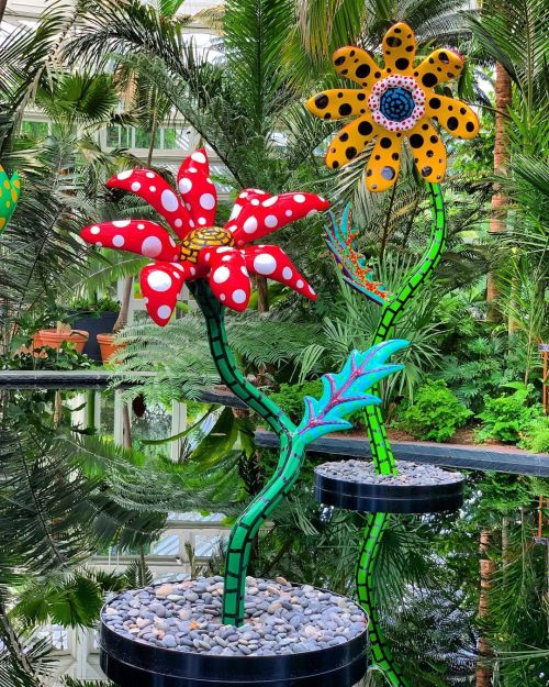 Flores de Yayoi Kusama Esculturas que se exponen por estos días en el Jardín Botánico de Nueva York.