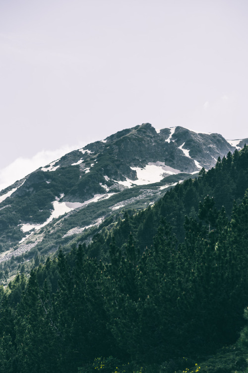 alxiuss:instagram | flickr