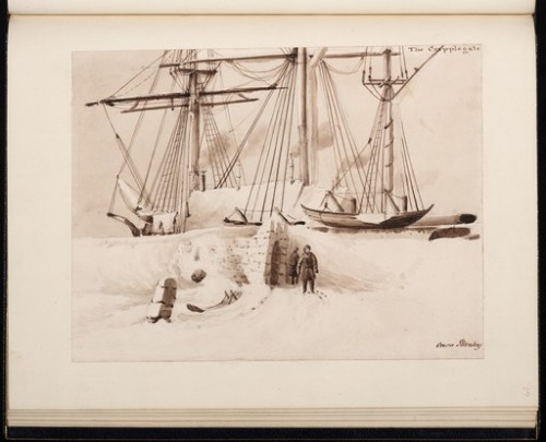 ltwilliammowett:These are a few more drawings made by Captain Owen Stanley on his artic expedition u