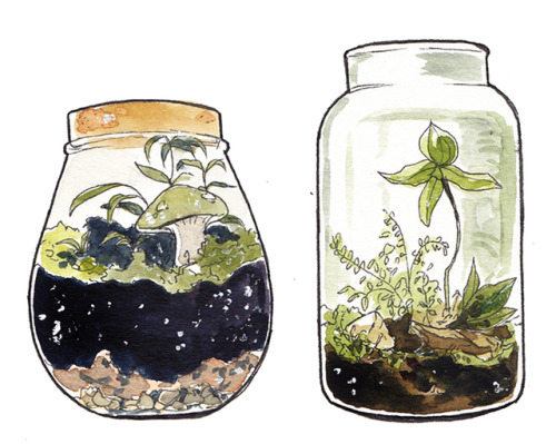 incaseyouart:Little watercolour terrariums! I want all of these and more in my house <3<3
