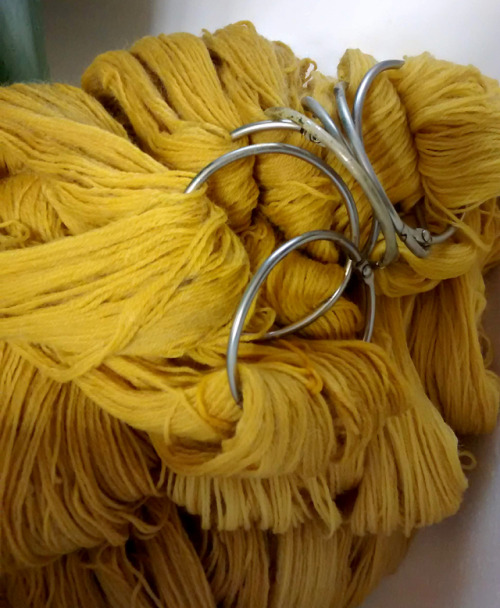 Some snaps of the process of getting plants to give colors to our yarns.  It is never fast, but it i