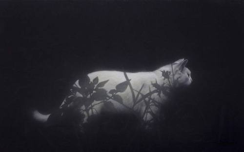 vincekris: Shinji Ihara