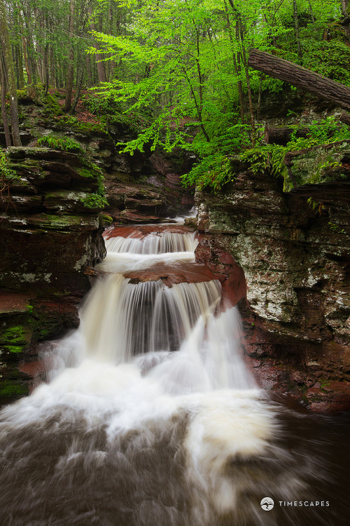 senerii:  Adams Falls by Timescapes.us on Flickr.