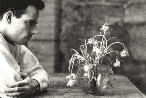 maurojoker:  the-night-picture-collector:  Duane Michals, Flowers, 1986   Se aspetti troppo…..