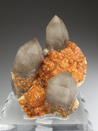 mineralists:  Spessartine Garnet on Smoky Quartz