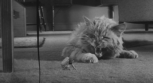 slobbering:The Incredible Shrinking Man (1957)