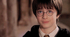 sydneysagei:    every ship i ship: harry/hermione (harry potter)   