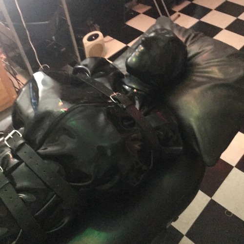 rubberelectropoppers:  Gimp in catsuit and gloves, then rubber straitjacket, and placed inrubber sleepsack. Strapped down, fed poppers, and Venus milked which produced 2 samples in 15 minutes. 