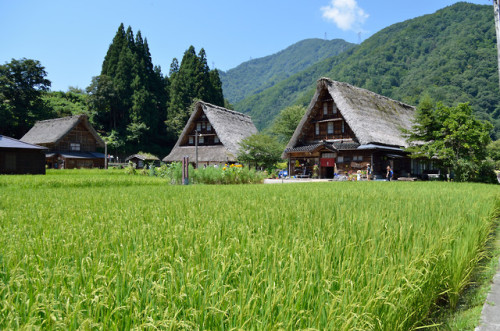 世界遺産　五箇山菅沼合掌造り集落