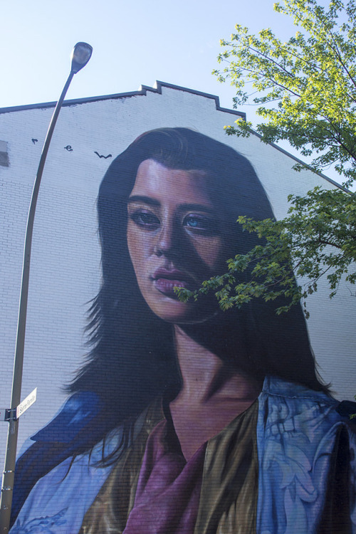  Voici quelques unes des nouvelles murales réalisées lors du festival Mural de Montréal, du 07 au 17