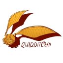 hquidditch avatar