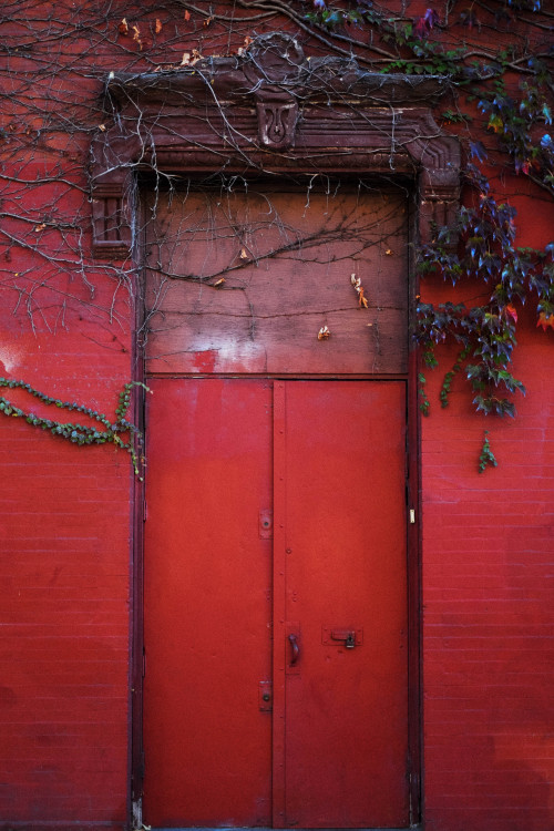 bagnostian:“i’m lost again, i think i’m really scared”williamsburg, brooklyn. nyc.(Fuji X-T1)