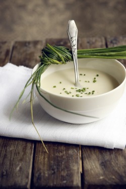 crazy-cook:  Vichyssoise