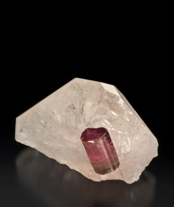 fuckyeahmineralogy:  Morganite with tourmaline; San Diego Co., California