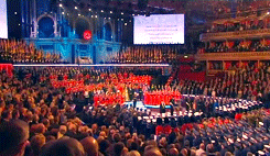 prisonerfromazkaban:  They shall not grow old, as we that are left grow old; age shall not weary them, nor the years condemn. At the going down of the sun and in the morning, we will remember them. 