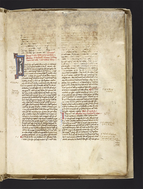 Albertus Magnus, author of the Aristotelian commentaries set down in LJS 482, is here shown on fol. 