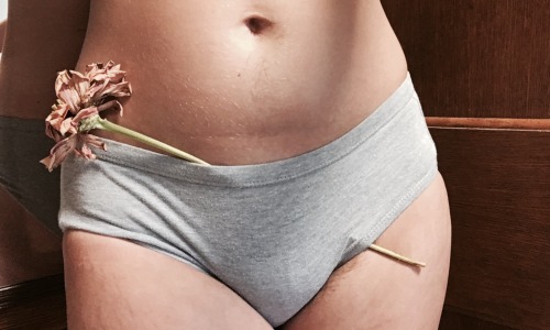 femme-cutie:  cutespine:  flower from the bush ~*~ more ~*~ about ~*~ spoil me ~*~  😍😍😍😍 