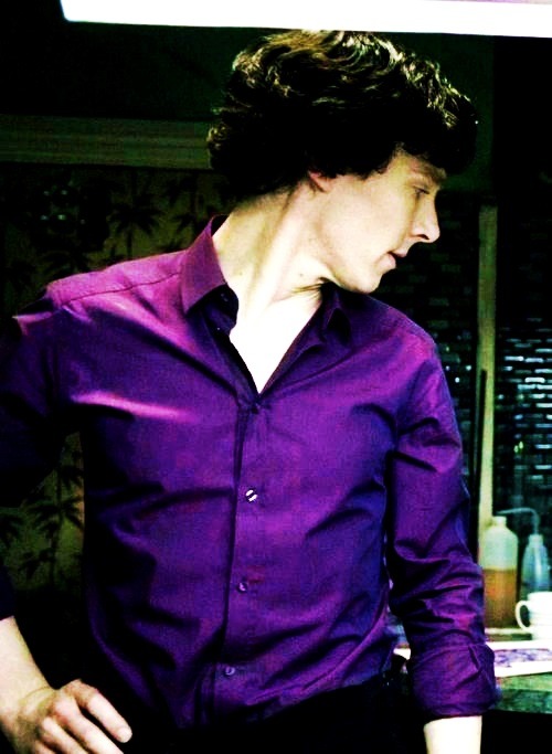 PRAISE THE PURPLE COLOUR