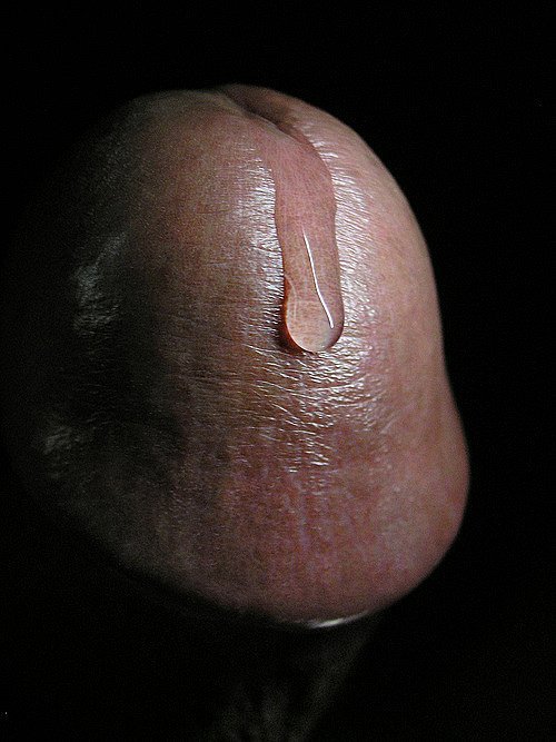 http://pornartporn.tumblr.com/post/120579396248