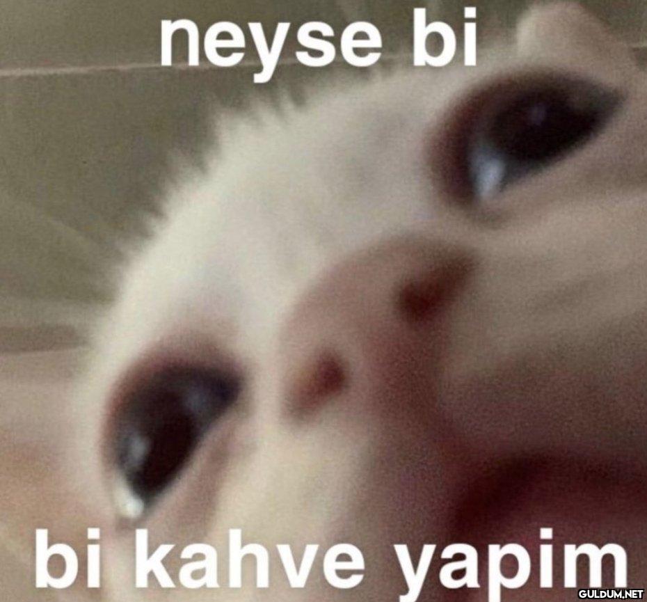 neyse bi bi kahve yapim   Kaynak