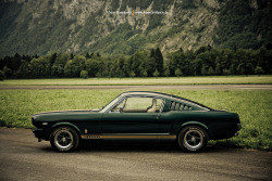 automotivated:  Green Harmony by AmericanMuscle.de on Flickr.