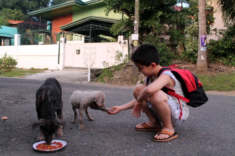 angelclark:  Curious Father Finds Out His Son Secretly Tends Starving Dogs http://noarmycanstopanidea.com/curious-father-finds-out-his-son-secretly-tends-starving-dogs/