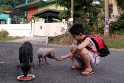 Angelclark:  Curious Father Finds Out His Son Secretly Tends Starving Dogs Http://Noarmycanstopanidea.com/Curious-Father-Finds-Out-His-Son-Secretly-Tends-Starving-Dogs/