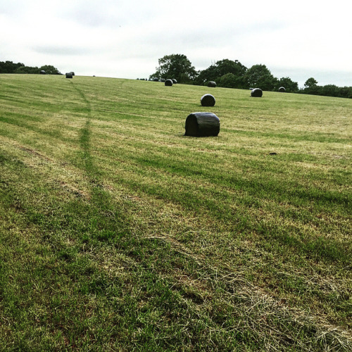 Ramble on. . . . #uk #south #englishsummer #england #landscape #nature #cityrambler #rambler #walkin