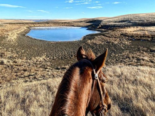 December 22 and it was 45 degrees! You won’t find me complaining! . #lifebetweentheears #dxjurassic