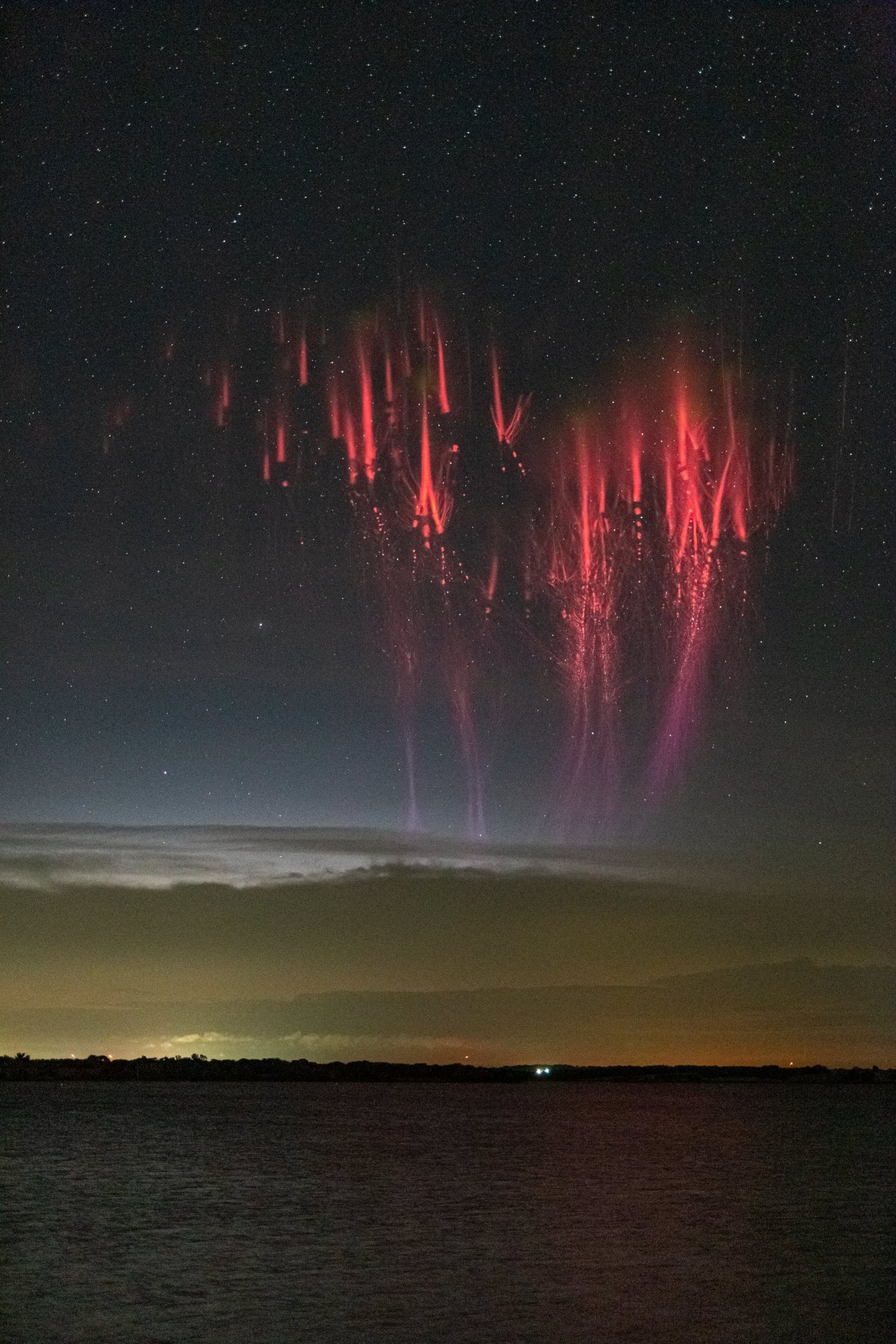 Welcome you! — Red Sprite (Lightning) l Paul M Smith