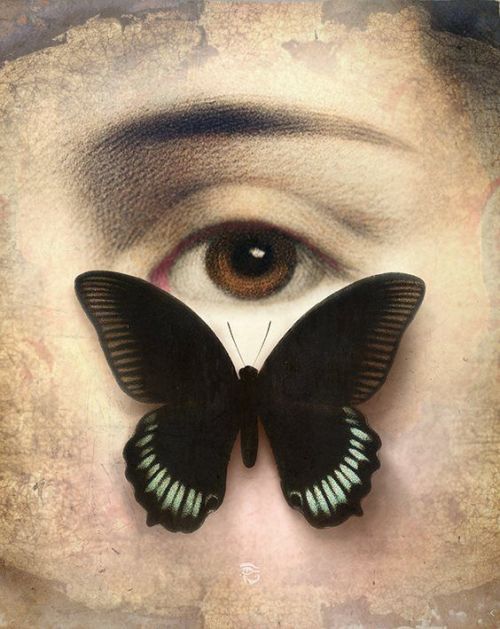pearl-nautilus:Thank You for Your Love - Christian Schloe