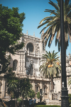 allthingseurope:  Seville, Spain (by Nikola