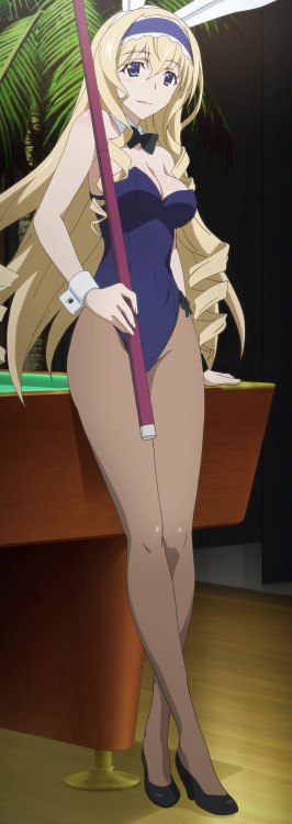 otaconsensei88:  Cecilia Alcott - “Infinite Stratos”(Source: 1, 2)