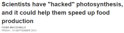 2srooky:  124:  photosynthesis… hacked  *stares at the sun* we’re in. 