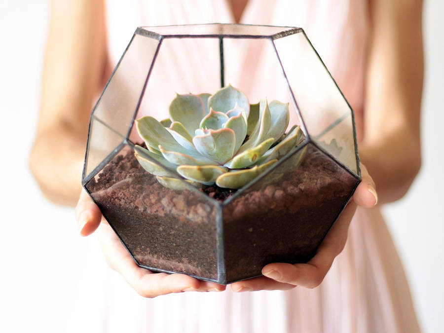 culturenlifestyle:Unique Handmade Geometric Glass Terrariums by Murat Ozsaltik Designer