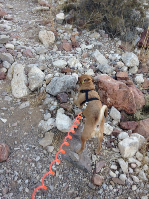 Great hike today !