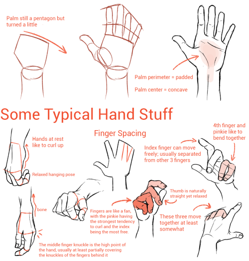 nekoni-klonoa2: suzannart: I’m not an expert but I like hands a lot so hopefully some of this 