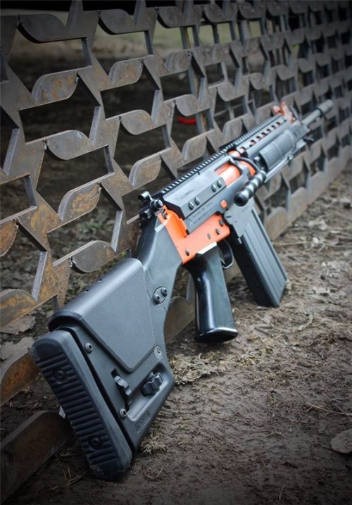djap-risk-management-inc:  gunrunnerhell:  FAL Friday Custom Cerakote finished FAL that the owner/seller says is comprised of IMBEL parts built by DSArms. Really clean and eye catching build. Rail is from DSArms and the stock is from Magpul, both of which
