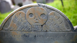 intracoastal-wanderings:  Memento mori gravestoneCharleston,