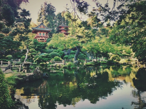 greatmindsthinkdifferent: Japanese tea garden, San Francisco