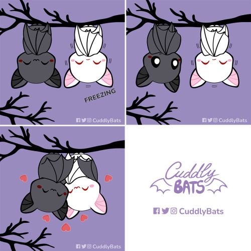 Comic by Cuddly Bats