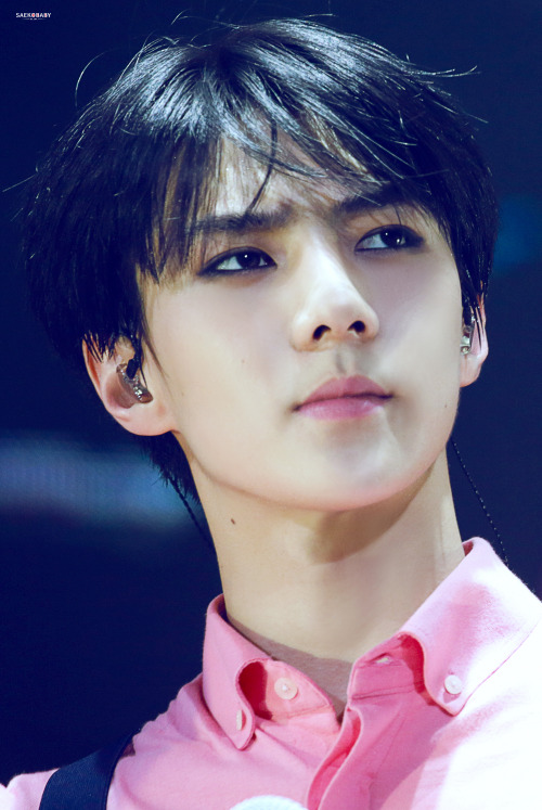 fy-exo:saekobaby | do not edit.