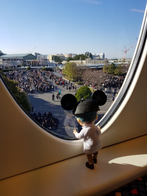 We Go To Disneyland.