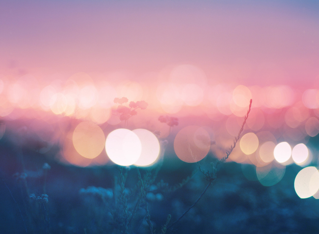 landscape-photo-graphy:  Plantraits by Anthony Samaniego Los Angeles-based photographer Anthony