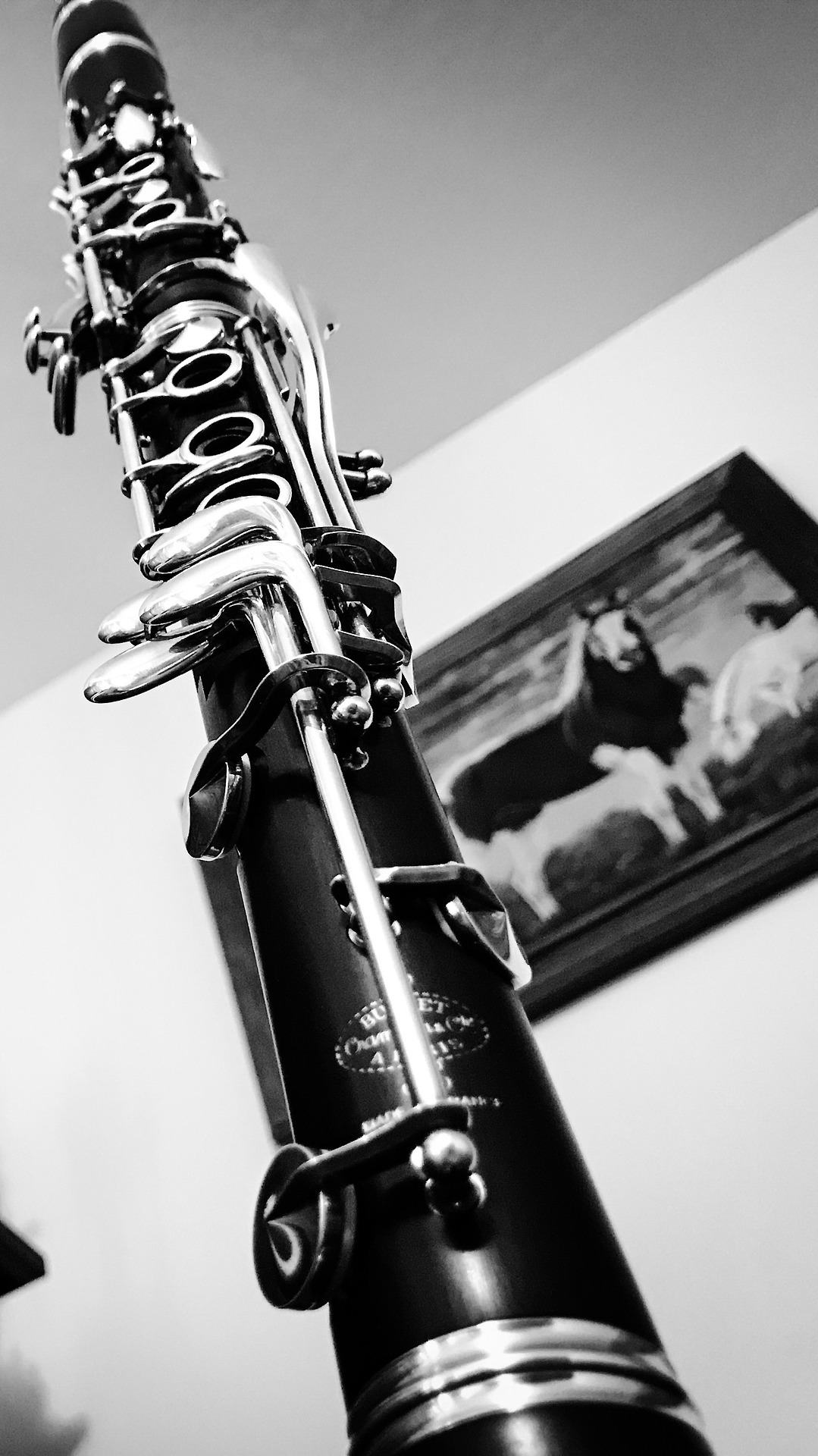 70 Free Clarinet  Music Images  Pixabay