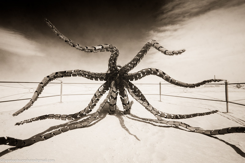 fhtagn-and-tentacles:  MECHATEUTHIS  by Barry CrawfordPhotos by Espressobuzz 